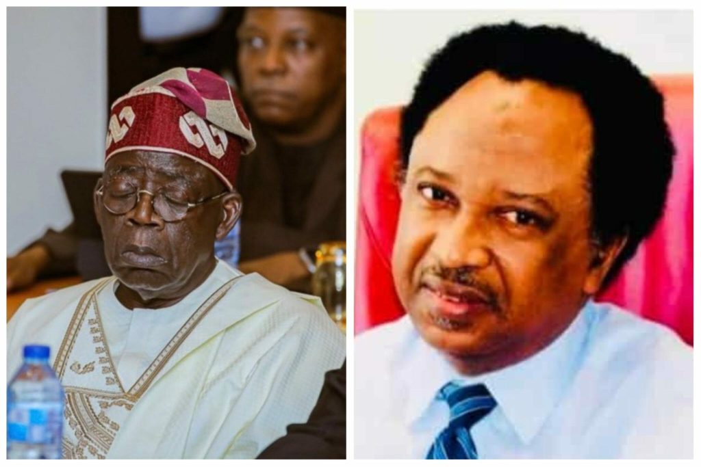 Masquerades Of Decadence – Shehu Sani Blasts Tinubu Supporters At EU Office