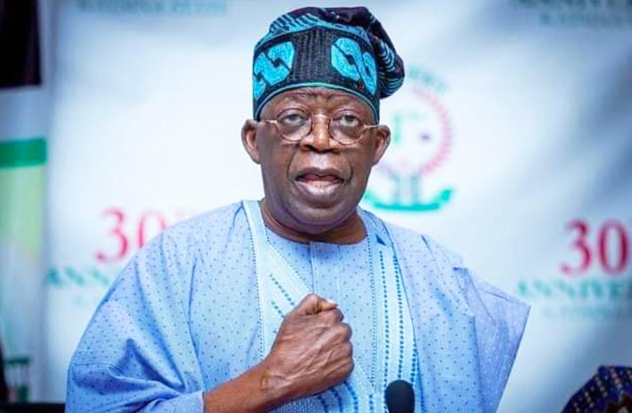 African CSOs Pass Vote of Confidence in Tinubu’s Leadership