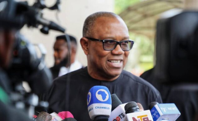 Niger Coup: Peter Obi tells Nigeria, ECOWAS What To Do