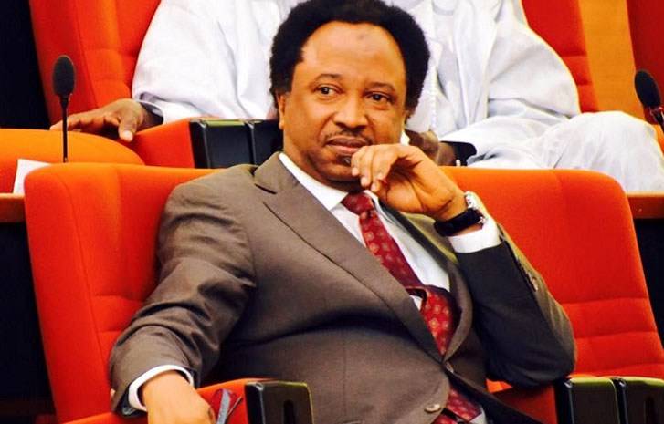 Think NNPP Have Just Gotten Their Own Lamidi Apapa - Shehu Sani Reacts To Kwankwaso Suspension