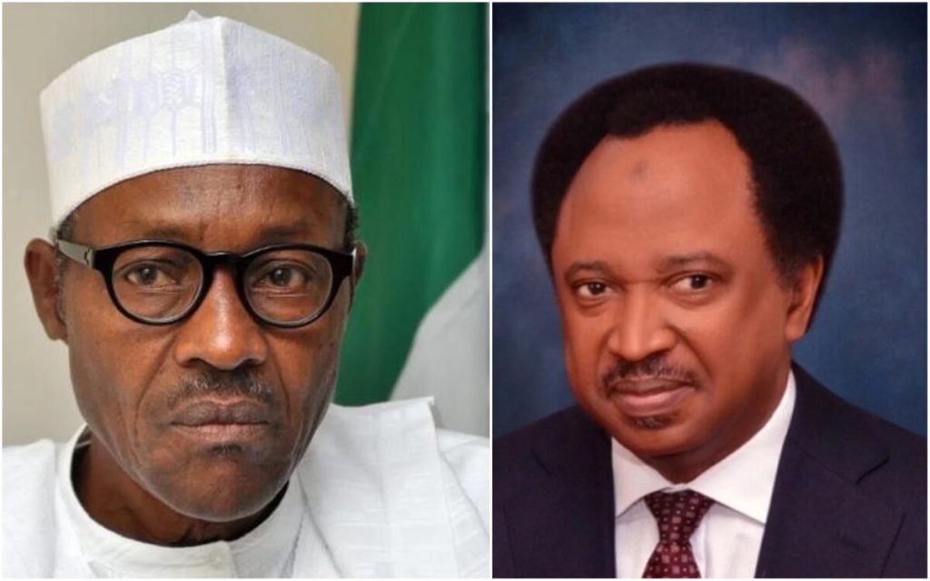 Shehu Sani Reacts As JP Morgan’s Shocking Report On Nigeria’s FX Reserve Exposes Buhari’s Govt