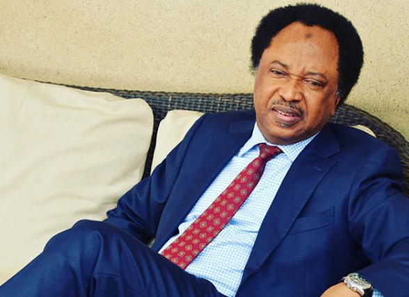 Shehu Sani Speaks On N5 Billion Palliative
