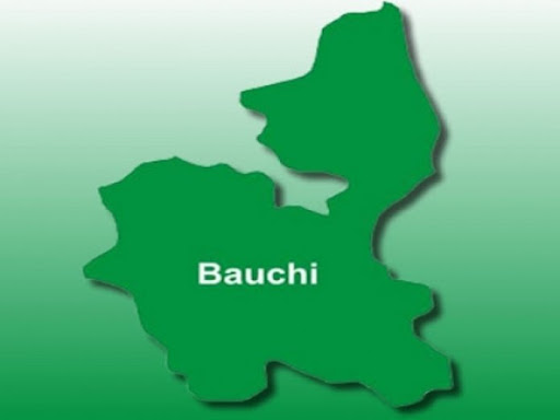 79 Bauchi Schools Have One Teacher Each - SUBEB Reveals