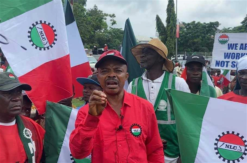 NLC Threatens To Embark On Indefinite Strike If Petrol Price Rises Further