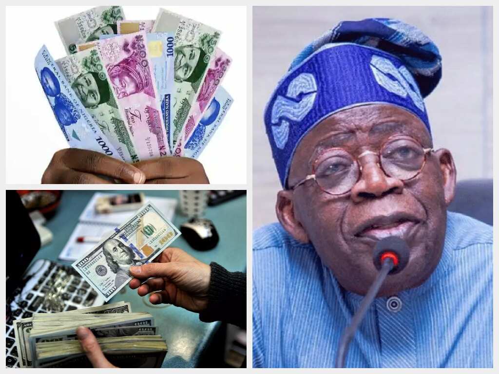 Forex Crisis: Naira Plunges To 1,025/$, Job Losses, Factory Shutdown Loom