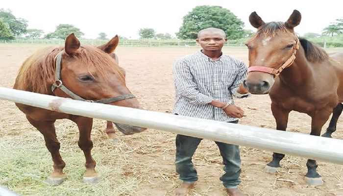 Man Arrested For Stealing Two Horses From Niger Farm