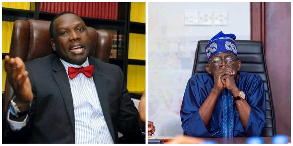 Academic Records:  Bwala Shares Festus Keyamo's Old Tweets, Says He's The Ant Destroying Tinubu 