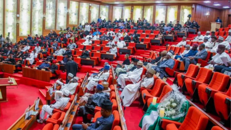 Senate Set To Introduce Diaspora Voting