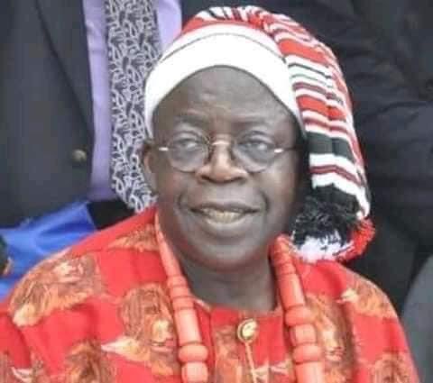 Allow Tinubu Breath So He Can Focus On Governance – Ndigbo Leader Urges Opposition