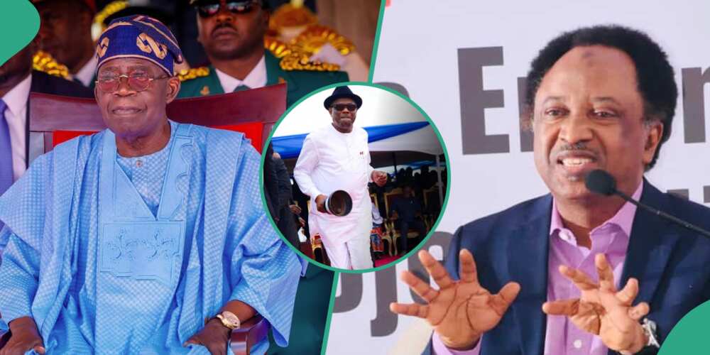 Tinubu Appointed Wike Minister Because He Does Not Want To Betray Him’ – Shehu Sani