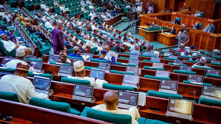 Reps Summon CBN Governor Over Lifting Forex Ban on Toothpicks, Cement, Others