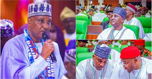 House Of Reps Justifies Creation Of 137 Standing Committees, Says Nigerians Should Applaud And Not Criticise Them  