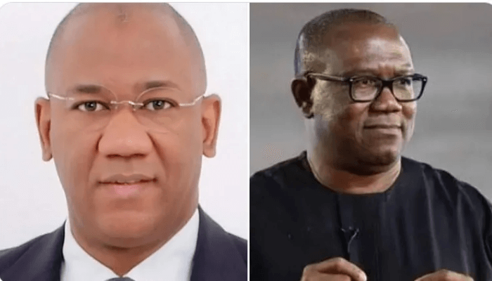 There Will Be Consequences For Your Comments Against Tinubu-Led Govt – APC Chieftain To Peter Obi, Datti-Ahmed
