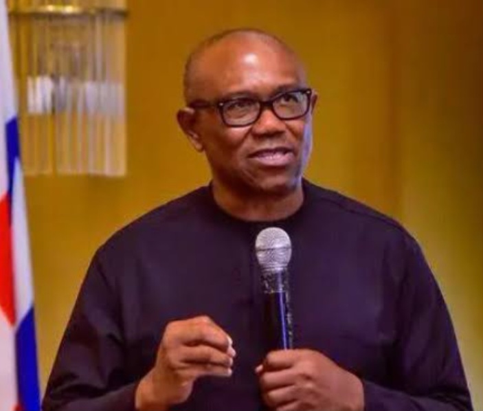 Poor Leadership, Not Colonialism, Is Africa’s Problem – Peter Obi