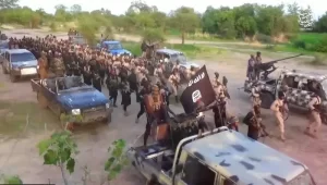 BREAKING: Over 60 Terrorists Killed As Fight Breaks Out In Boko Haram, ISWAP Camps