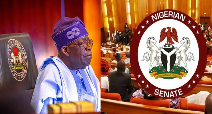 Senate Approves Joint Session for Tinubu’s 2024 Budget Presentation