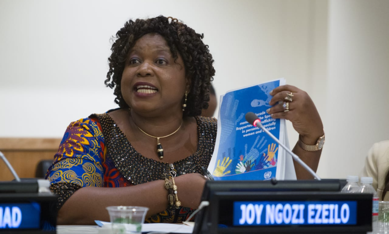 Just In: United Nations Appoints Nigerian Woman, Ngozi Ezeilo As Member Of Fact-finding Mission To Sudan