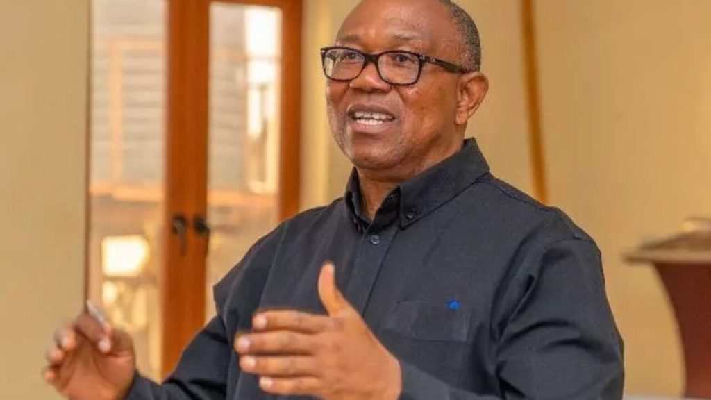 Make Extra Effort To Protect Nigerians - Peter Obi Charges Security Agencies