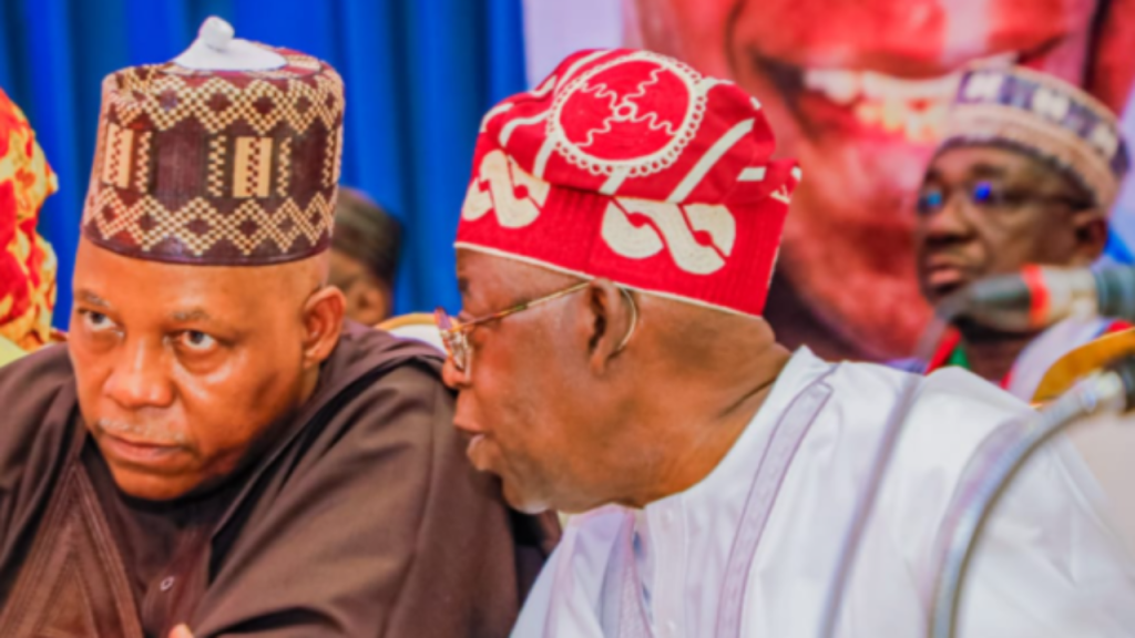 2024: Tinubu, Shettima To Spend N10bn On Trips, Meals As Villa’s Animals Get N201m