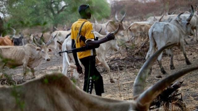15-Year-Old Herder Stabbed In Plateau