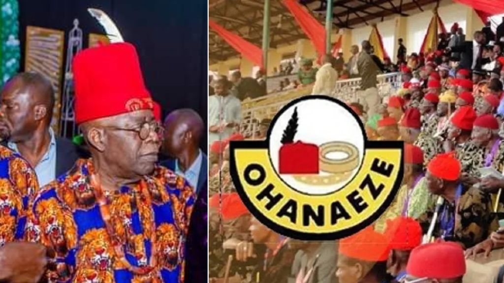 Insecurity: Urgently Transmit Power To Shettima – Ohanaeze Knocks Tinubu Over Paris Trip