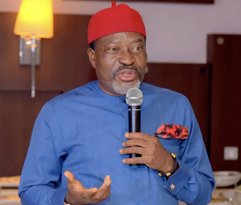 If Igbos Cannot Be Trusted With Leadership, They Should Also Not Be Trusted With Protest – Kanayo