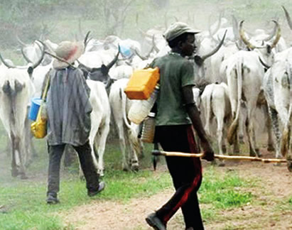 Hoodlums Kill 16-Year-Old Herder In Plateau State 