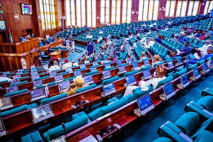 Reps Withdraw Bill Requiring University Degree as Minimum Qualification for President, Govs