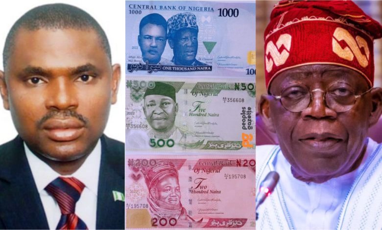 Fresh Controversy Rocks Presidency As Tinubu’s Special Investigator Allegedly Requests N2 Billion From CBN