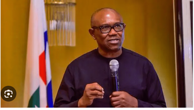 Peter Obi Reacts To The Murder Of Nigeria Army Officials In Delta