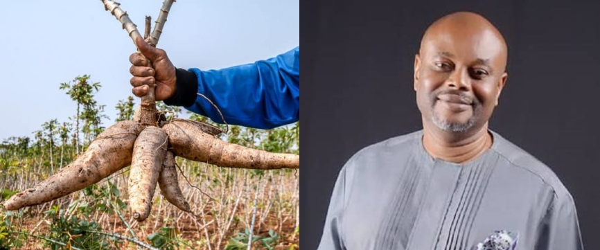 Nigeria Can Make More Money From Cassava – Innovation Minister, Uche Nnaji