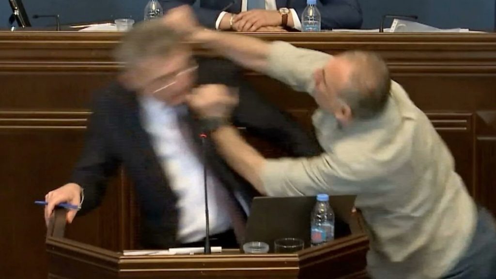 Opposition Leader Punches Georgian Lawmaker During Debate