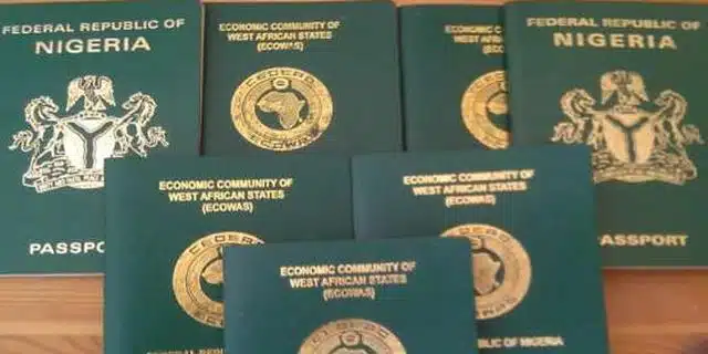 Why Passport Applicants Need Letters From States Of Origin – NIS