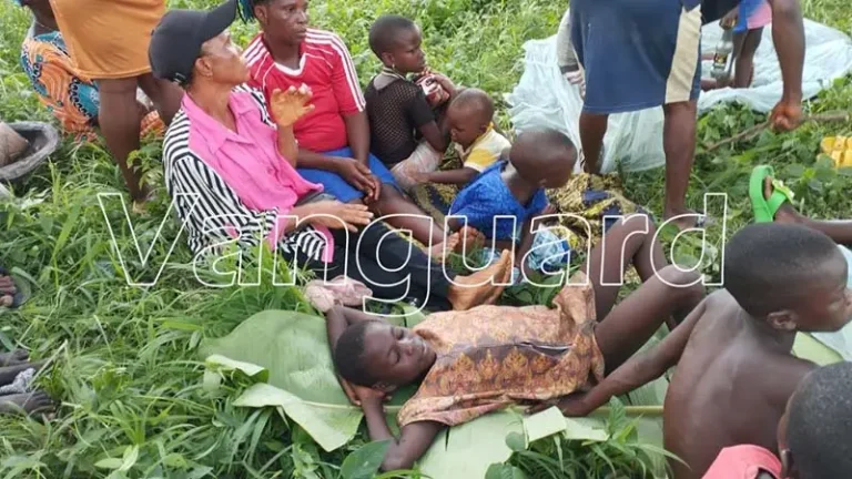 Pictures Of How Residents Of Okuama Are Living In The Forest Emerge [Watch]