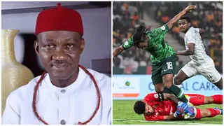 AFCON: Ex-lawmaker Urges FG To Immortalise Ojuogboh Who Died Watching Super Eagles Match