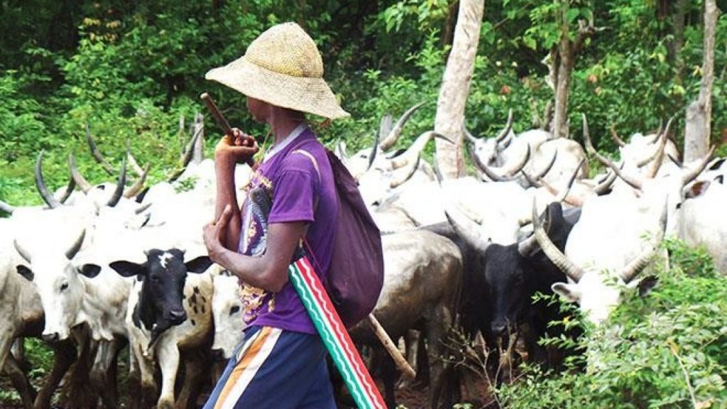 Suspected Herders Kill Pregnant Woman, 10 Others In Benue