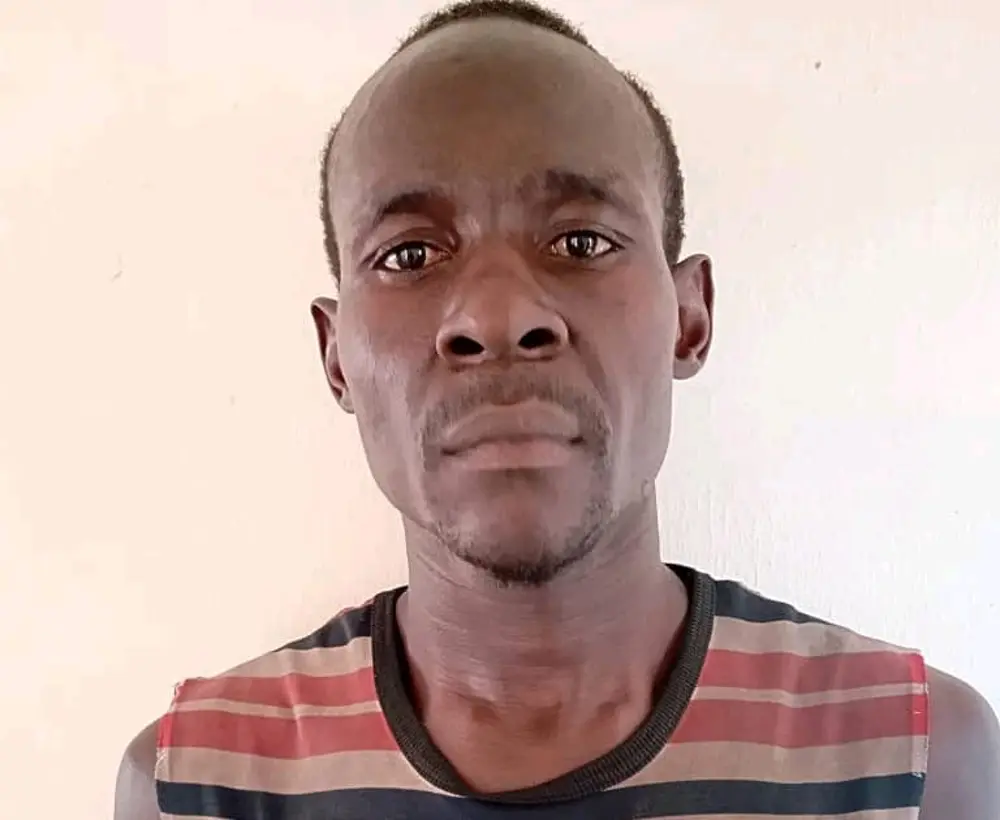 Man Lands In Police Custody For Raping 9-year-old Niece In Adamawa