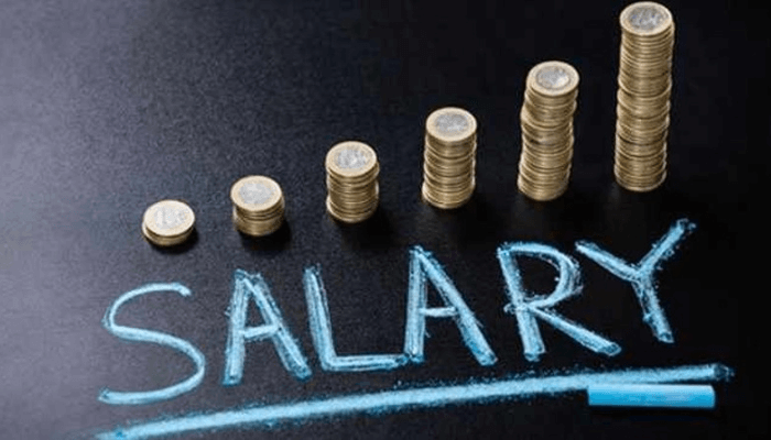 FG May Start Paying Workers Based On Productivity’