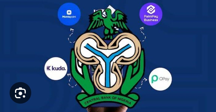 BREAKING: OPay, Moniepoint, Others To Resume Onboarding New Customers ‘In Months’ – CBN