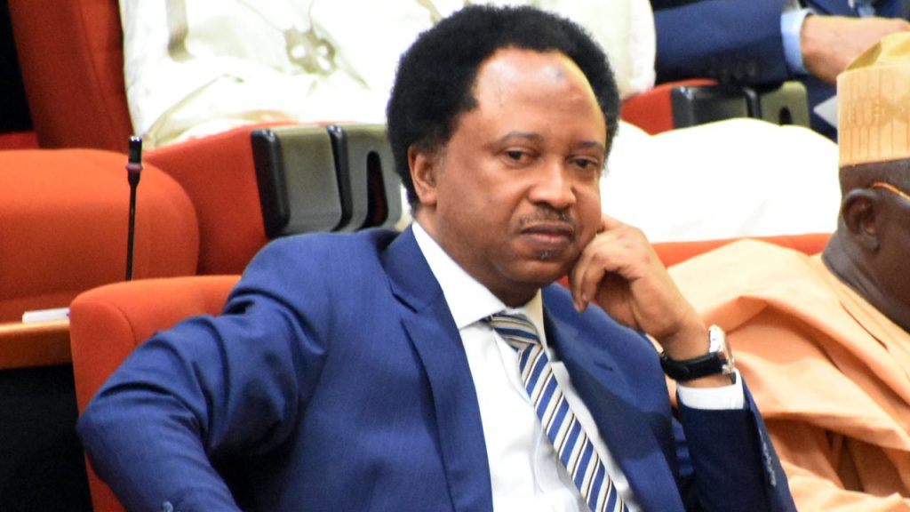 Harry, Meghan Visit: Protocol Displayed Colonial Mentality – Shehu Sani