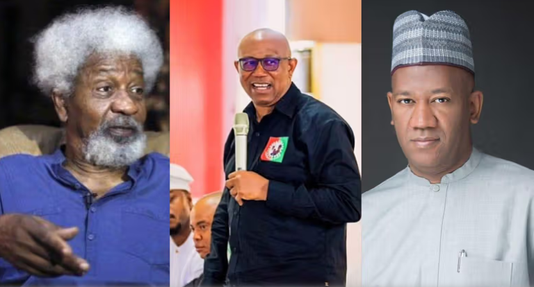 Intellect Doesn’t Give You The Right To Insult Anybody’ – Baba-Ahmed Fires Soyinka Over Comment On Peter Obi