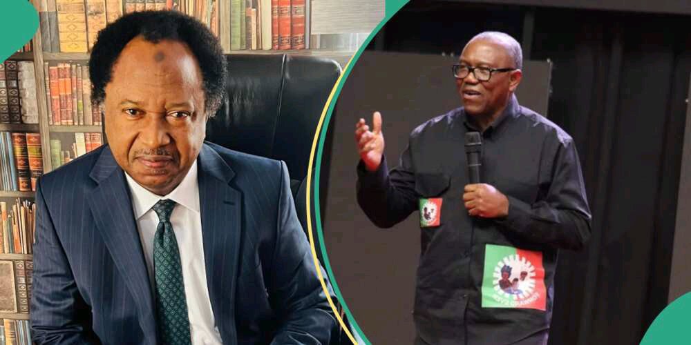 Shehu Sani Reveals Peter Obi's Chance Of Getting PDP Ticket In 2027