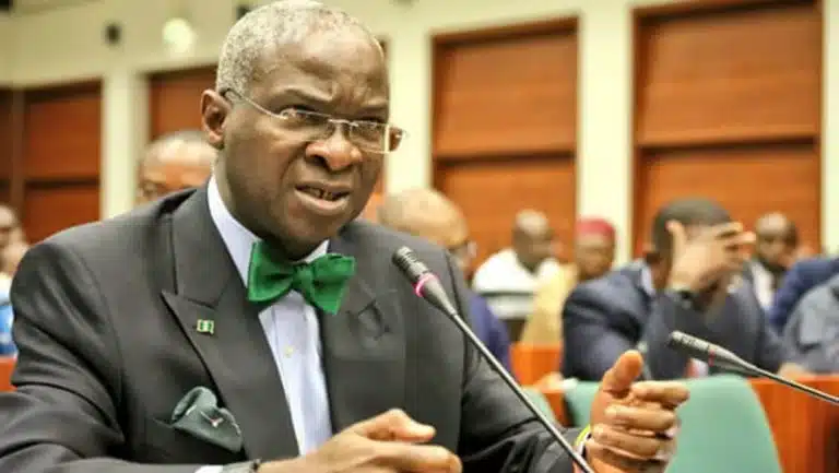 Minimum Wage Should Be Paid Hourly – Fashola