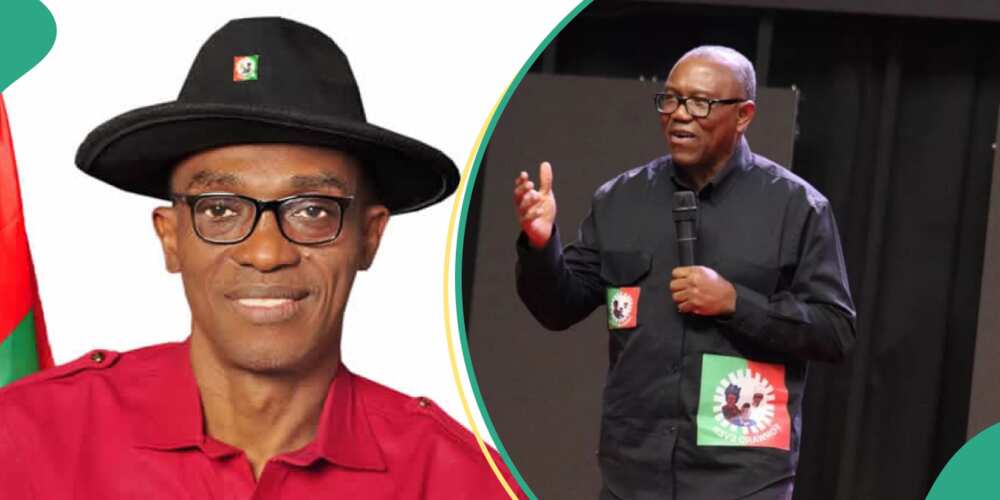 LP Crisis: Peter Obi Identifies Three People To Decide Abure’s Fate