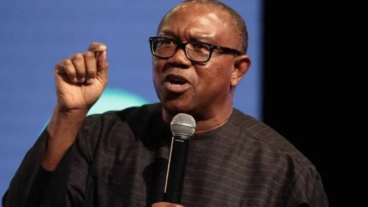 Nigeria’s Health Sector Has Collapsed - Obi