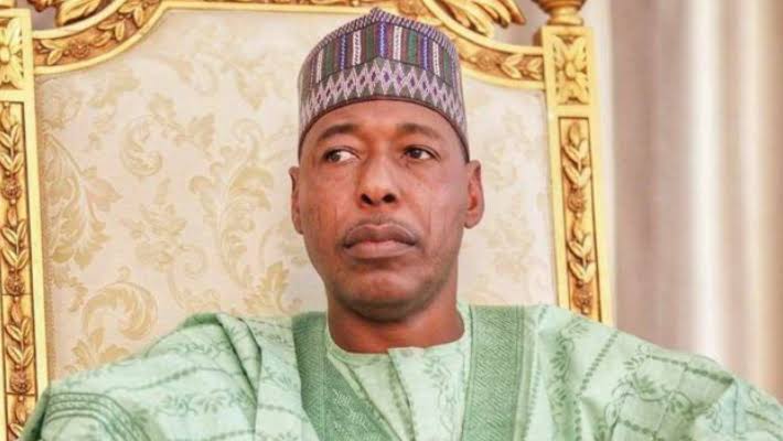 Borno State Governor, Zulum Hands Over to Deputy