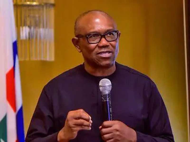 Public Funds Do Not Belong To You – Peter Obi To Politicians