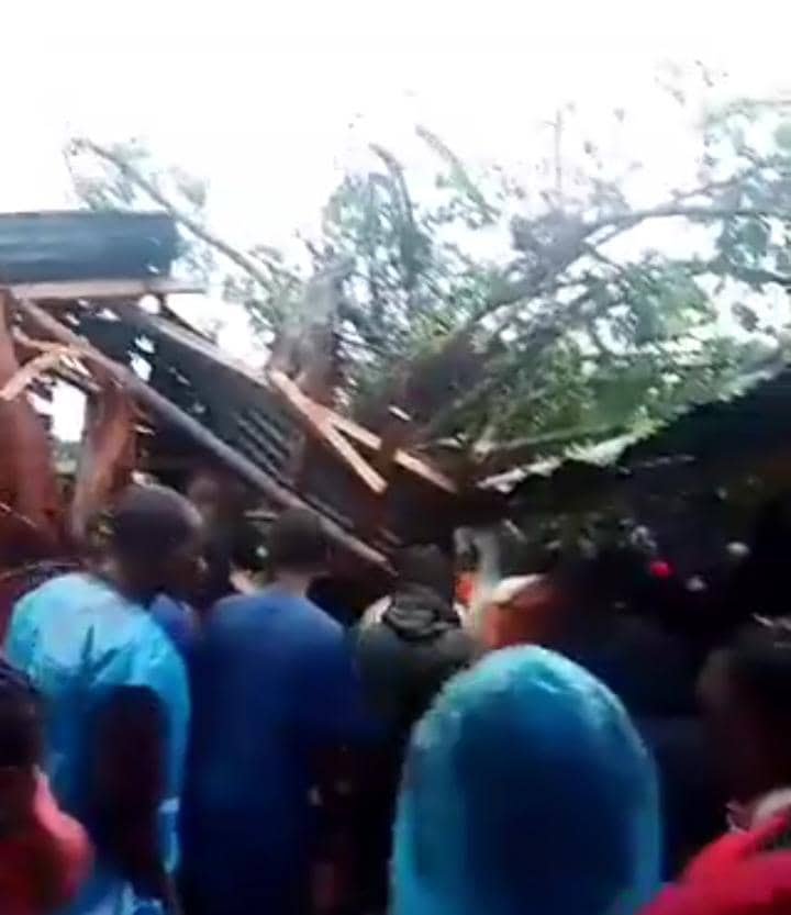 4 Killed, Several Injured As Centuries-Old Trees Collapse On Traders In Edo