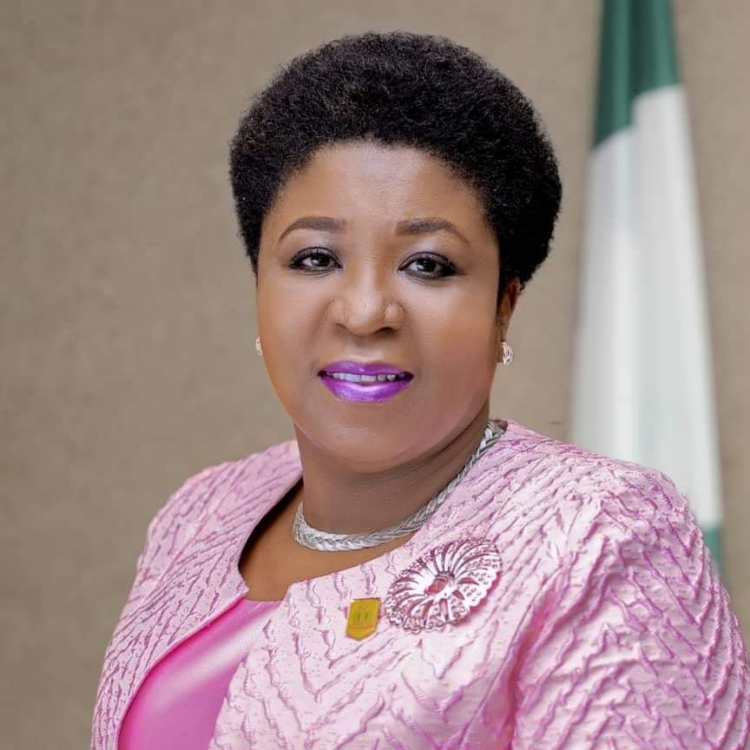 Tinubu Appoints Didi Walson-Jack As New Head Of Service