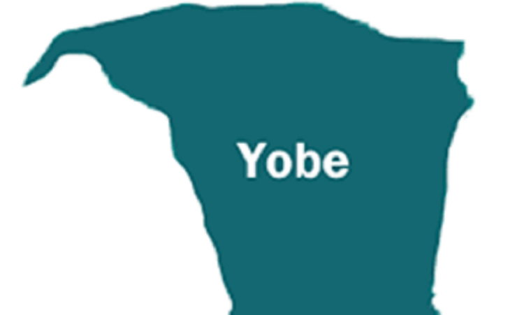 Protest: Yobe Gov’t Orders Closure Of Schools